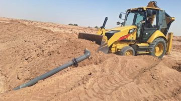 احباط محاولة تعد على أملاك دولة واسترداد 5 أفدنة بالوادي الجديد