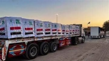 إطلاق حملة إنسانية بالوادي الجديد للتبرع بالتمور لصالح أهالي قطاع غزة