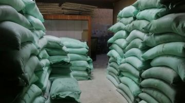 المنوفية.. تحرير 236 محضر مخالفات مخابز وأسواق خلال يومين