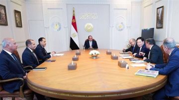 الرئيس السيسي يبحث مع رئيس GCL الصينية التعاون في مجال الطاقة المتجددة