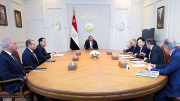 الرئيس السيسي يستقبل رئيس مجلس إدارة شركة GCL الصينية