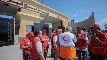 الهلال الأحمر المصري يدفع بأكثر من 65 ألف متطوع لمساندة الشعب الفلسطيني..تفاصيل