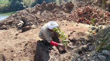 معا لتشجير قرية أولاد عمرو .. مبادرة لتحويل بؤر النفايات لمساحات خضراء بقنا معا لتشجير قرية أولاد عمرو .. مبادرة لتحويل بؤر النفايات لمساحات خضراء بقنا