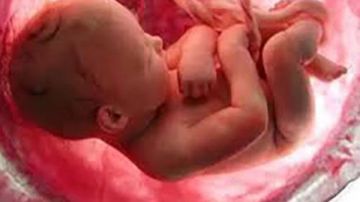 وسط ظروف غامضة.. العثور على جوال بداخله أجنة صغار في المنيا