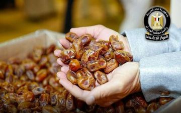 الزراعة: مصر الأولى عالميا بإنتاج سنوي للتمور يصل إلى مليوني طن