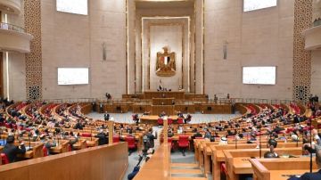 مؤهل أو دراسة متخصصة.. المؤهلات المطلوبة للقيد بنقابة المهن الرياضية