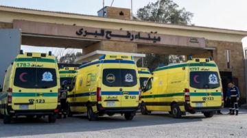 وفدا فنلندا والسويد يشيدان بجهود مصر لإيصال المساعدات لغزة واستقبال المصابين الفلسطينيين