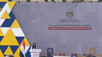 المشاط: إطلاق ميثاق الشركات الناشئة ومبادرة تمويلية بمليار دولار المشاط: إطلاق ميثاق الشركات الناشئة ومبادرة تمويلية بمليار دولار