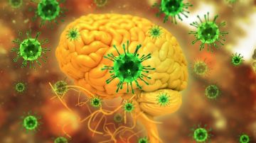 نشرة المرأة والمنوعات لماذا يحتاج الأطفال لـ حشوات الأسنان.. فيروس جديد يثير القلق في بنجلادش