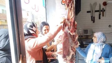 بيطري المنيا: ضبط 719 كيلو لحوم غير صالحة ومذبوحة خارج المجازر