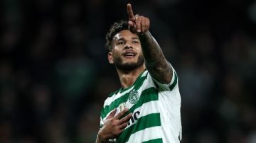 ليفربول يستهدف جناح سبورتنج لشبونة في الصيف المقبل