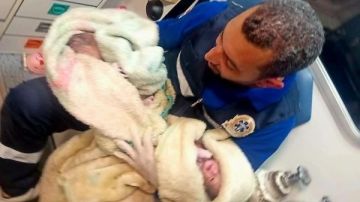 ملحمة جديد لرجال الإسعاف.. سيدة بدوية تلد توأما في قلب الصحراء تفاصيل ملحمة جديد لرجال الإسعاف.. سيدة بدوية تلد توأما في قلب الصحراء تفاصيل