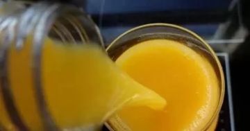 إضافة هذه التوابل لعصير البرتقال يعزز مناعتك ويحسن الهضم إضافة هذه التوابل لعصير البرتقال يعزز مناعتك ويحسن الهضم