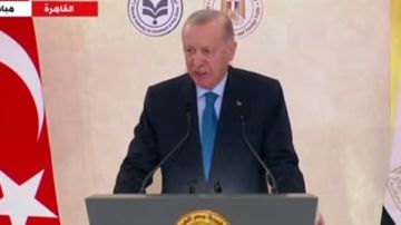 الرئيس التركي: رؤية 2035 سترسم مستقبل مصر.. ومصر وتركيا دولتان رئيسيتان بالتطورات التي تشهدها المنطقة