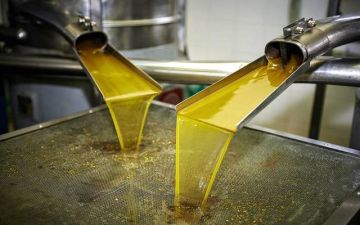  المانع القطرية تخطط لإنشاء مصنع لإنتاج الديزل الحيوي من زيوت الطعام في مصر