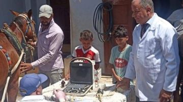 تشخيص وعلاج 3845 رأس ماشية ضمن خطة تنمية الثروة الحيوانية بكفر الشيخ