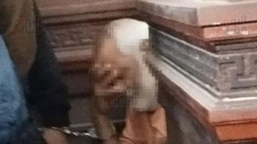 لاتهامه بهتك عرض 4 تلاميذ .. الإعدام شنقا لجنايني مدرسة دولية بالإسكندرية لاتهامه بهتك عرض 4 تلاميذ .. الإعدام شنقا لجنايني مدرسة دولية بالإسكندرية