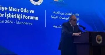 أحمد الوكيل: 13 مليار دولار حجم استثمارات الشركات المصرية فى الخليج وإفريقيا