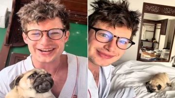 جرو يجبر أمريكي للبقاء في القاهرة شهرين.. ما القصة؟