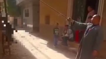 ضبط المتهم بالاعتداء علي كلب وربطه بحبل في طنطا.. صور