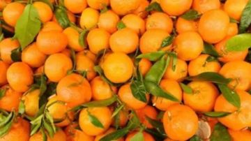 صادرات مصر الغذائية ترتفع إلى 210 آلاف طن خلال أسبوع