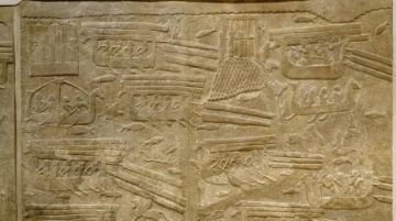 كيف نقل الفينيقيون خشب الأرز إلى مصر زمن الفراعنة؟