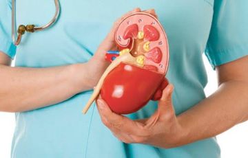 5 أطعمة تناولها بانتظام للحفاظ على صحة الكلى