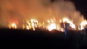 حـ ـريق هائل بشونة قش الأرز بقرية بشبيش بالمحلة.. صور