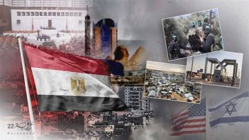 خبير: صلابة الموقف المصري- الفلسطيني فرضا اتفاق غزة على إسرائيل فيديو خبير: صلابة الموقف المصري- الفلسطيني فرضا اتفاق غزة على إسرائيل فيديو