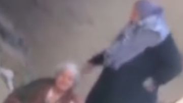 تعتدي على والدتها المسنة بالضرب والسحل في الزقازيق.. سيدة تواجه السجن