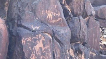 خبير آثار يفك شفرة النقوش الصخرية في الجبال المصرية