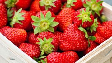 ثقة في المنتج.. الزراعة: مصر الدولة الاولى عالميا في تصدير الفراولة المجمدة والمبردة