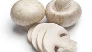 كنز غذائي.. ماذا يفعل المشروم لجهازك الهضمى؟ كنز غذائي.. ماذا يفعل المشروم لجهازك الهضمى؟