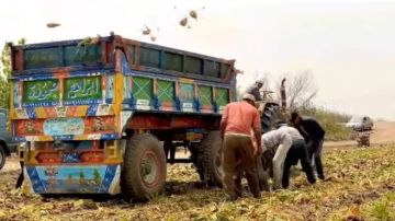 الدلتا للسكر تعلن موعد استلام محصول البنجر لموسم 2026 الدلتا للسكر تعلن موعد استلام محصول البنجر لموسم 2026