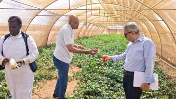 تنمية حلايب وشلاتين.. زيادة المساحات المنزرعة والاستفادة من مياه السيول والأمطار تنمية حلايب وشلاتين.. زيادة المساحات المنزرعة والاستفادة من مياه السيول والأمطار