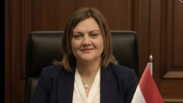 حماة الوطن: مشروع قانون الإدارة المحلية يترجم توجيهات الرئيس لخطوات تشريعية واضحة