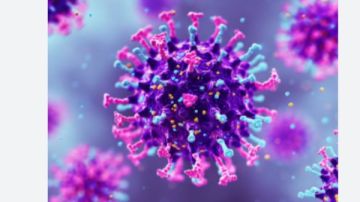 لن تتوقع.. لماذا أثار فيروس نيباه قلقا عالميا؟