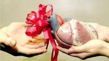 أميرة صابر : مقترح بنك الأنسجة يهدف لإنقاذ حياة آلاف المصريين وليس للتريند