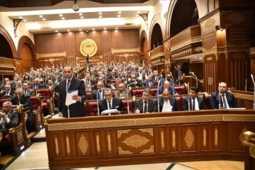 مجلس الشيوخ: مشروع قانون جديد لحماية الأطفال من مخاطر استخدام مواقع التواصل