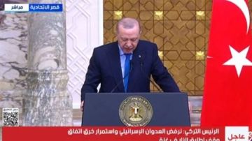 أردوغان: نثمن جهود مصر في إيصال المساعدات الإنسانية إلى غزة ونجاحها في تجاوز التحديات الأخيرة