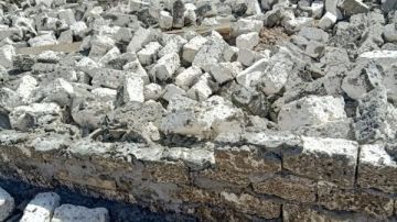 إزالة 582 تعديا على الأراضي الزراعية وأملاك الدولة في الشرقية صور إزالة 582 تعديا على الأراضي الزراعية وأملاك الدولة في الشرقية صور