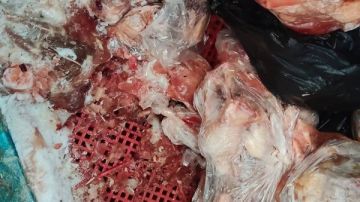 ضبط 121 كيلو دواجن فاسدة في حملة رقابية مكبرة للطب البيطري ومباحث التموين بالغردقة