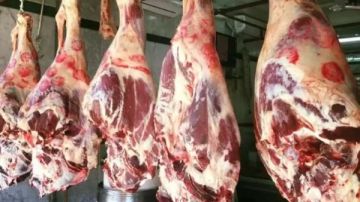 قبل بداية رمضان بساعات.. أسعار اللحوم اليوم الأربعاء 18 فبراير 2026 قبل بداية رمضان بساعات.. أسعار اللحوم اليوم الأربعاء 18 فبراير 2026