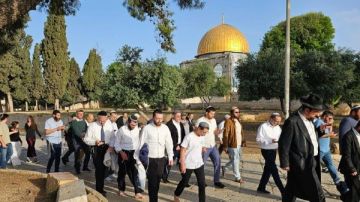 عشرات المستوطنين يقتحمون باحات الأقصى في حماية شرطة الاحتلال عشرات المستوطنين يقتحمون باحات الأقصى في حماية شرطة الاحتلال