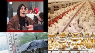 مقدرش أعيش من غير بلدي.. مسنة فلسطينية لحظة العودة لغزة.. ومفاجأة بشأن أسعار الذهب والدولار والدواجن.. أخبار التوك شو