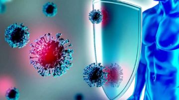 الفواكه والخضراوات .. طرق طبيعية لتقوية المناعة ومقاومة الأمراض