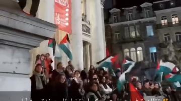 مظاهرات عارمة.. شوارع أوروبا تتحول إلى ساحات تضامن مع غزة ضد خروقات إسرائيل مظاهرات عارمة.. شوارع أوروبا تتحول إلى ساحات تضامن مع غزة ضد خروقات إسرائيل