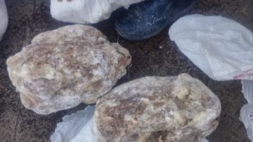 الزراعة: ضبط 209 أطنان لحوم غير صالحة وتحرير 1003 محاضر خلال يناير