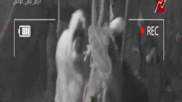 رامز ليفل الوحش .. رعب ماجد المصري أمام غوريلا