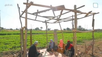 ستات شقيانة لتأمين مستقبل ولادهم.. جولة لمحمود سعد في قرية نكلا بمنشأة القناطر